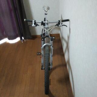 ゲイリーフィッシャー コビア garyfisher  COBIA  29er