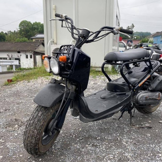 ☆支払い総額 5.8万円☆ ホンダ ズーマー AF58 激安ズーマー！大人気