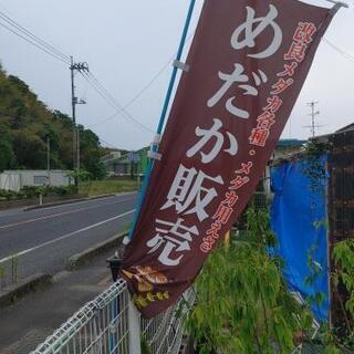 花と緑とメダカのお店　－ 庭樹園 鳥取 - 剪定/造園