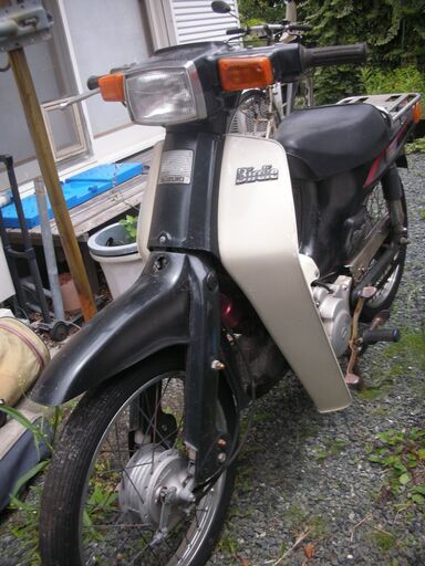 バーディ５０　いい音ですよ！