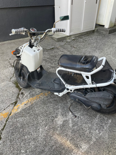 HONDA ホンダ ズーマー