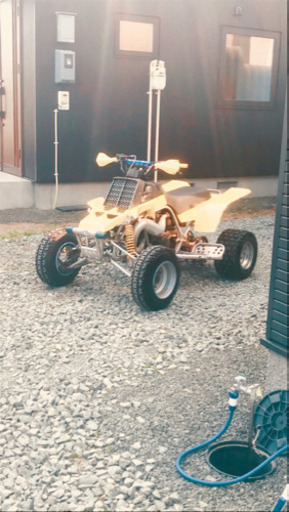 YF350バンシー決まりました！