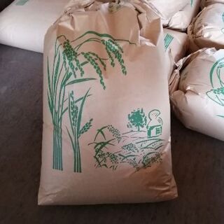 専用ページ　もち米　玄米30kg　精米込 令和2年 徳島県産もち米 玄米30Kg