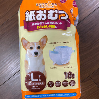 犬 紙オムツ 11枚