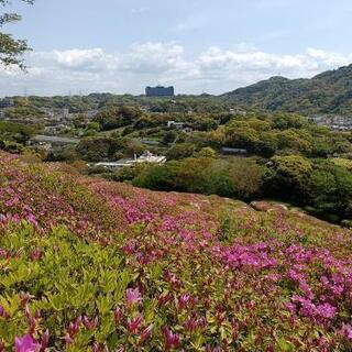 WワークOK 中高年シニア造園アルバイト募集