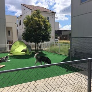 天然芝のようなリアルな人工芝をご自宅のお庭にて施工致します。 - 磐田市