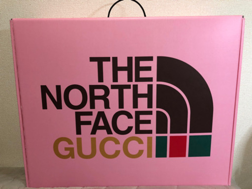 【新品未使用】GUCCI ✖️The North Face ダウンベスト