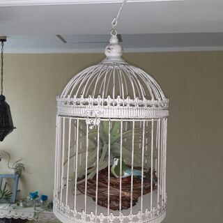 中古鳥かごが無料 格安で買える 7ページ目 ジモティー 中古鳥かごが無料 格安で買える 7ページ目 ジモティー