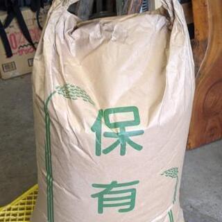 信州松本産コシヒカリ玄米30kg 令和元年産