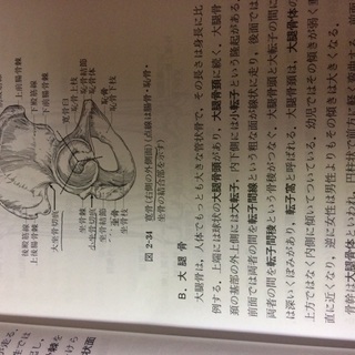 解剖学の本
