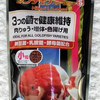 只今お話し中【未開封】キョーリン「Hikariランチュウ・ベビー...