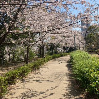 3月5日(土) 英会話サークル　市川駅！