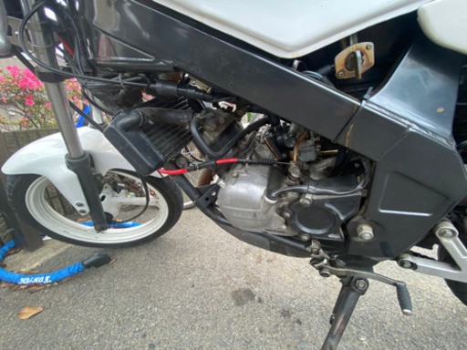 tzr50r 吹き上がりよし　セル始動可 tzr50r 吹き上がりよし セル始動可