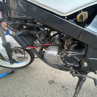tzr50r 吹き上がりよし　セル始動可