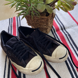 converse × UNITED ARROWS GREEN L...