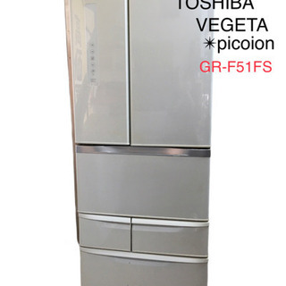 TOSHIBA VEGETA Picoion GR-F51FS ...