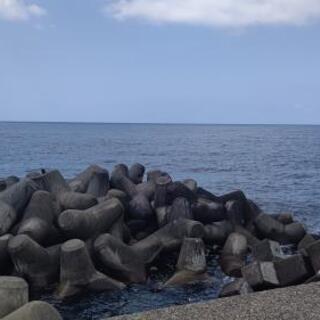 海上釣り堀募集