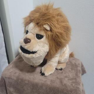 中古シャクレが無料 格安で買える ジモティー
