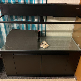 120×45×45mm水槽セット 必ず説明欄ご確認ください