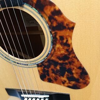morris M80Ⅱ