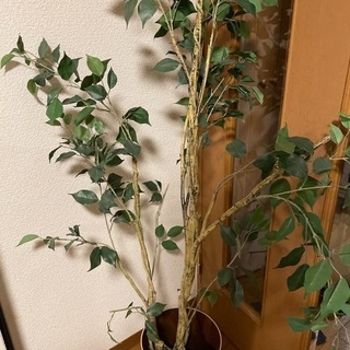 観葉植物(造花)