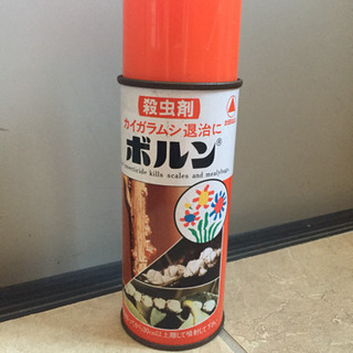 中古カイガラムシが無料 格安で買える ジモティー