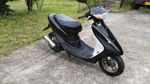 ホンダ ライブディオ 50cc