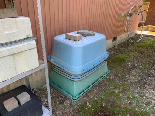 メダカらんちゅう飼育容器発泡箱トロ船 めだ兄 大河原の家具の中古あげます 譲ります ジモティーで不用品の処分