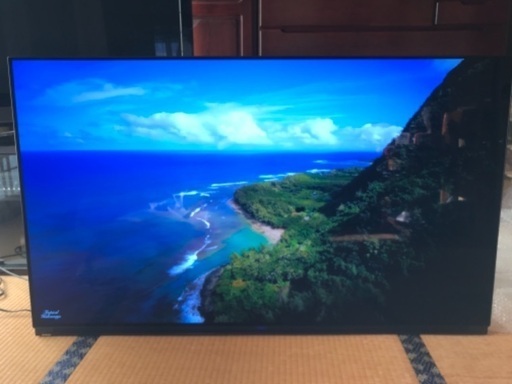 FUNAI HDD内蔵 55型 4K 有機ELテレビ | healthlifeips.com