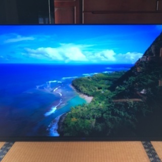 FUNAI HDD内蔵 55型 4K 有機ELテレビ w2-worldbuffet.co.uk
