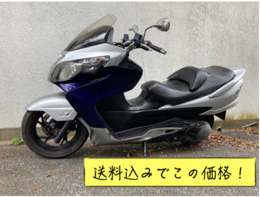1週間限定！　送料無料でお届けします。