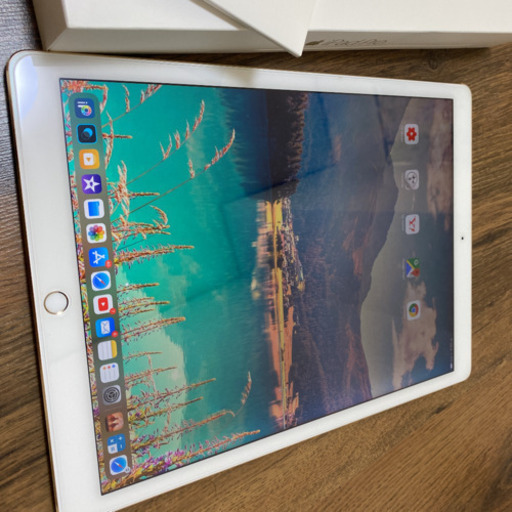 iPad Pro 12.9inch wifiモデル　32GB gold