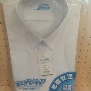 中学生 夏服シャツ１５５センチ