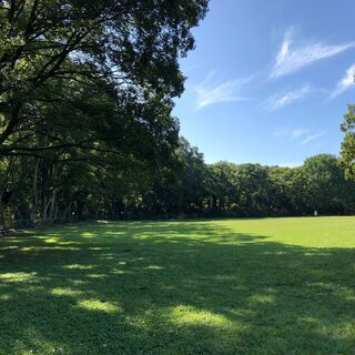 【砧公園パークヨガ】6/13(日)10:00 - 緑あふれる公園...