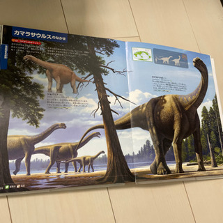 恐竜図鑑　DVD付き - 売ります・あげます