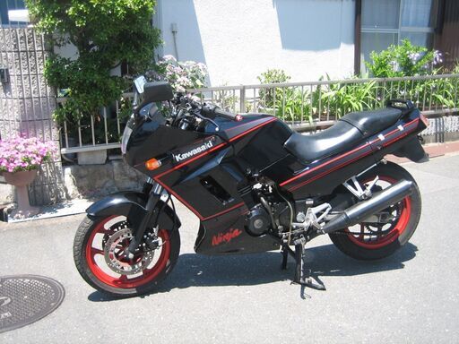 GPX250R  綺麗です　動画付