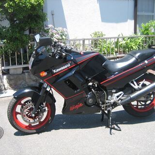 GPX250R  綺麗です　動画付