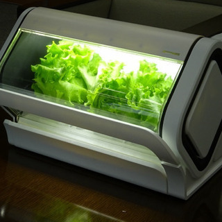 【美品】水耕栽培キット　やさい物語