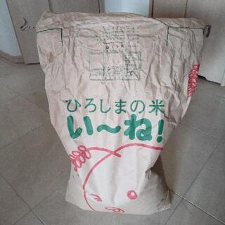 玄米  １０キロ 令和2年度産 