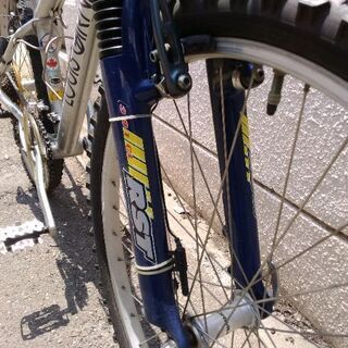 晩節の断捨離・第 1 号、美品「ルイ・ガノ」マウンテンバイク