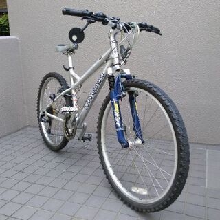 晩節の断捨離・第 1 号、美品「ルイ・ガノ」マウンテンバイク