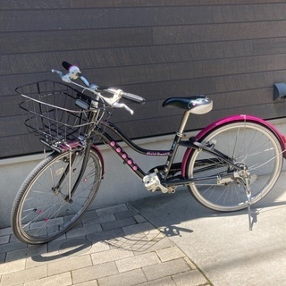 OGKヘルメットと自転車(ブリヂストン　ワイルドベリー)22インチ