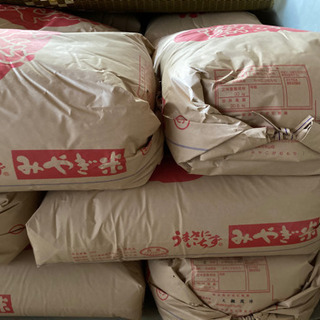 【ネット決済・配送可】令和4年宮城県産みやこがね餅玄米30kg