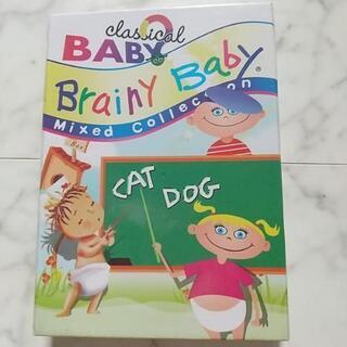 未開封Brain baby １５枚組英語学習DVD