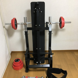 姿勢分析器 体重計式 アクリルボード付き 江崎器械 整体 エクササイズ