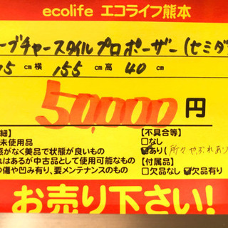 カーブチャー スタイルプロポーザー セミダブル 【C1-531】①