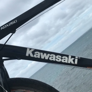 🇯🇵Kawasaki  　アルミフレーム