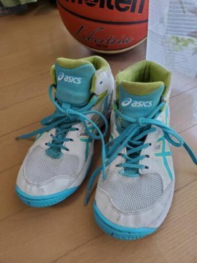 バスケバッシュ23cm男女兼用 小梅 大保の家具の中古あげます 譲ります ジモティーで不用品の処分