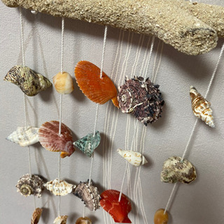 貝の装飾品 インテリア雑貨