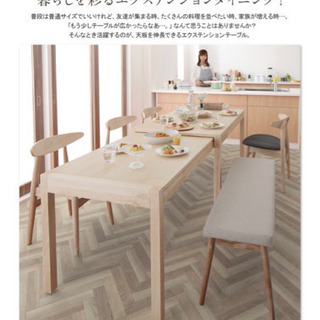 北欧デザイン スライド伸縮テーブル ダイニングセット SORA ソラ 5点セット